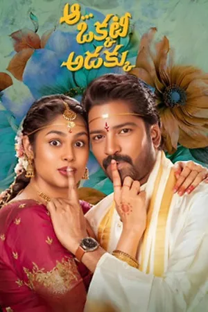 Aa Okkati Adakku 2024 Hindi Dual Audio Movie Poster
