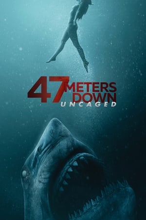 47 Meters Down: Uncaged (2019) Hindi Dual Audio [950MB] Movie Poster