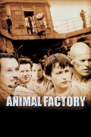Animal Factory (2000) Hindi Dual Audio [950MB] Movie Poster