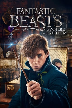 Fantastic Beasts and Where to Find Them 2016 HD- [600MB] Movie Poster
