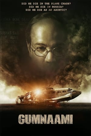 Gumnaami (2019) Hindi Movie - [400MB] Movie Poster