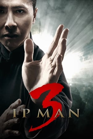 Ip Man 3 (2015) Hindi Dual Audio 400MB Movie Poster