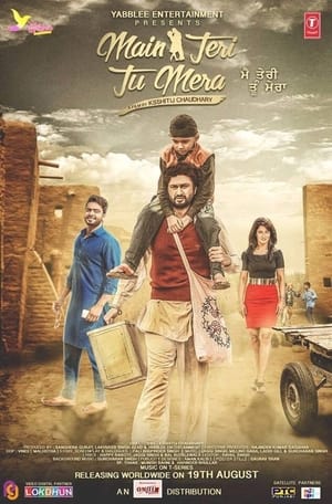 Main Teri Tu Mera 2016 Punjabi ESubs [400 MB] Movie Poster