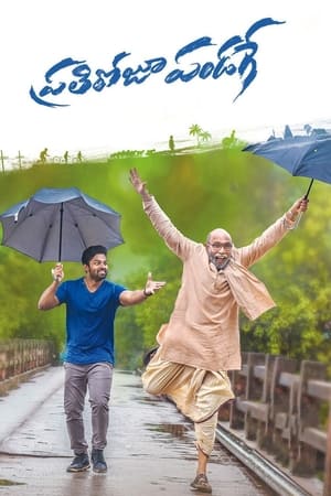 Prati Roju Pandage (Har Din Diwali) (2019) Hindi Dubbed 400MB Movie Poster