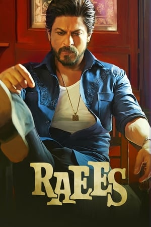 Raees (2017) Full Movie [1.0GB] Download Movie Poster