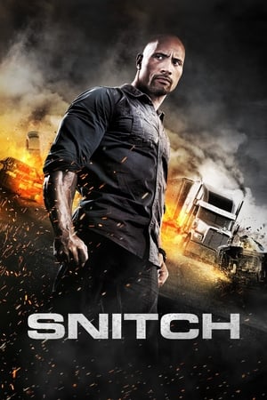Snitch (2013) Hindi Dual Audio 350MB Movie Poster