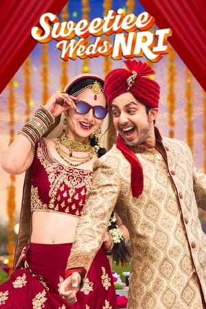 Sweetiee Weds NRI 2017 Movie HDTVRip 500MB Download Movie Poster