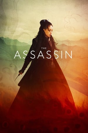 The Assassin 2015 Hindi Dual Audio [1.1GB] Movie Poster