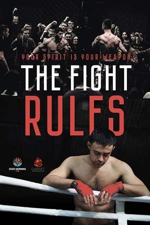 The Fight Rules 2017 Hindi Dual Audio 260MB Movie Poster