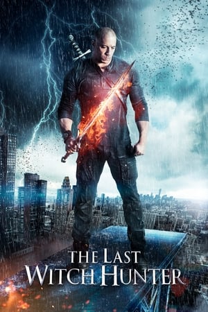 The Last Witch Hunter (2015) Hindi Dual Audio [940MB] Movie Poster