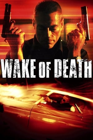 Wake of Death 2004 Hindi Dual Audio [1GB] Movie Poster