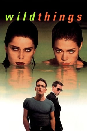 Wild Things (1998) 100mb Hindi Dual Audio Download Movie Poster